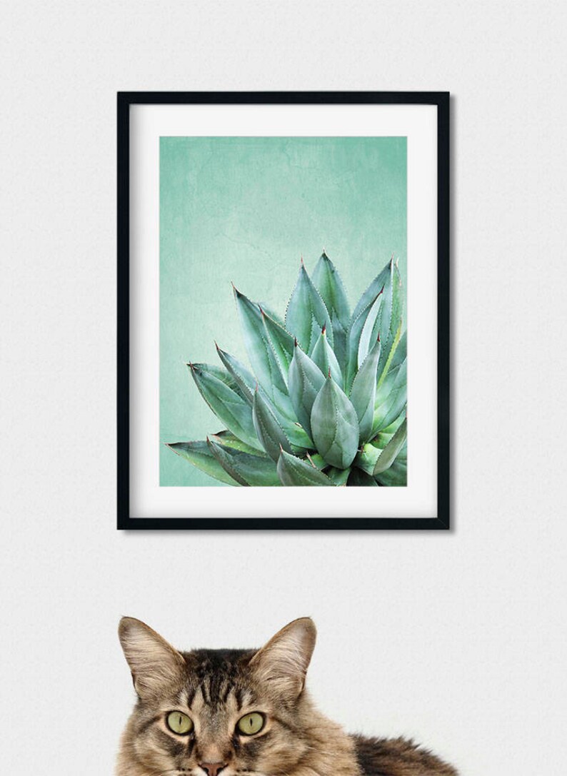 Downloadable Cactus Print Cacti Wall Art Modern Minimalist Etsy