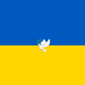 Ukraine shops, pray for Ukraine, blue and yellow, Ukrainian flag PNG, digital download, Ukraine svg, peace love world