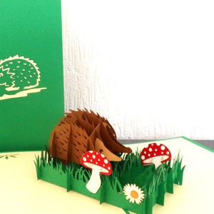 Hedgehog 3D - Pop up Card -  Birthday -(SKU 110)