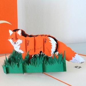Fox-3D - Carte pop up - Fête des Pères - Anniversaire - Anniversaire - (sku052)