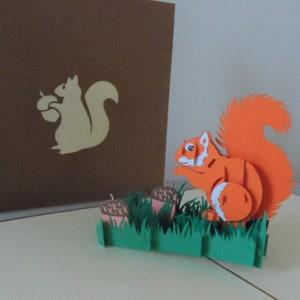 Écureuil roux 3D - Carte pop up - Fête des pères - Anniversaire - Guérison (sku004)