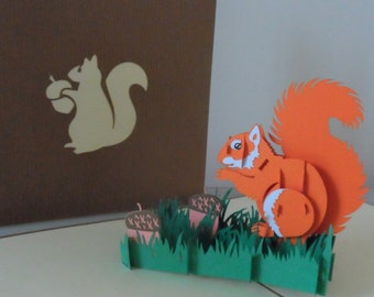 Red Squirrel 3D - Pop up Card - Birthday- Get Well (sku004)