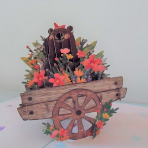 Bear with Flowers and Butterfly- 3D - Pop up Card -Birthday -Get well- Anniversary (sku068)