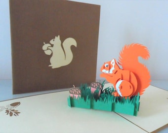 Red Squirrel 3D - Pop up Card - Birthday- Get Well (sku004)