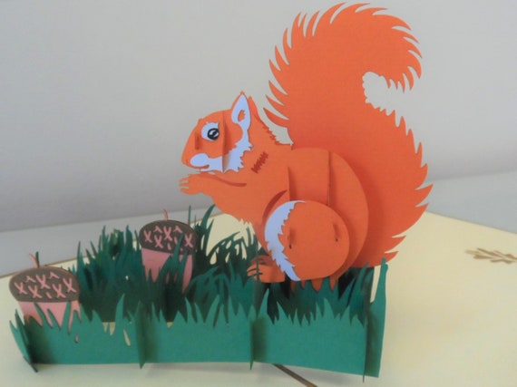 Biglietto Pop-Up 3D Con Scoiattolo E Sacchetto Portafortuna, GREETING ART, Cartolina Di Compleanno Divertente Con Busta, 20x15 Cm - 4