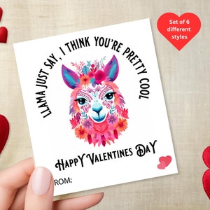 Valentijnskaarten voor Tweens, Preteens en tieners, meisjes jongens Valentine, Middle School Classroom Exchange, grappig te cool voor Valentijnsdagkaarten