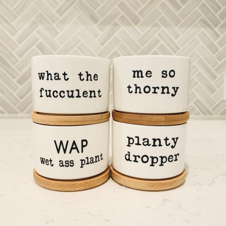 Punny Plant Pot - Etsy