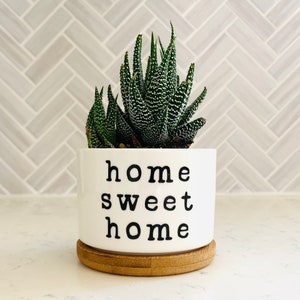 Punny Plant Pot - Etsy