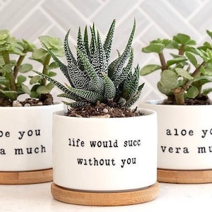 May include: Three white ceramic succulent pots with wooden bases. The pots have different sayings on them: "aloe you vera much", "life would succ without you", and "aloe you vera much".