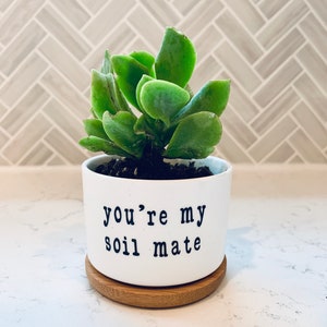 Punny Plant Pot - Etsy