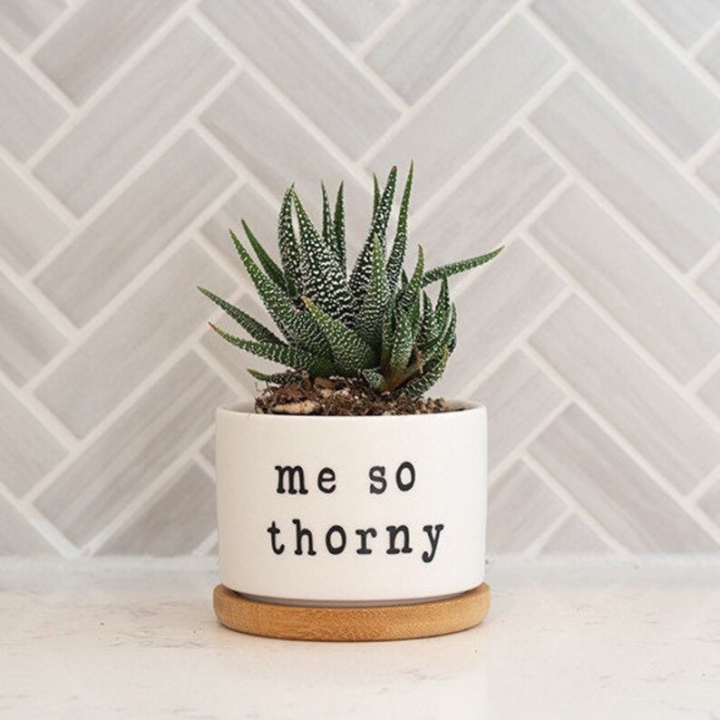 Punny Plant Pot - Etsy