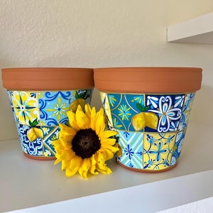 手描きテラコッタポット - 多肉植物プランター、デスクオーガナイザー、植木鉢、イタリアンタイル