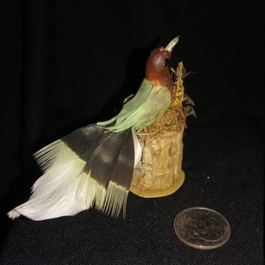 Handmade Bird in a Nest on a Log, Bird Figurine On a log