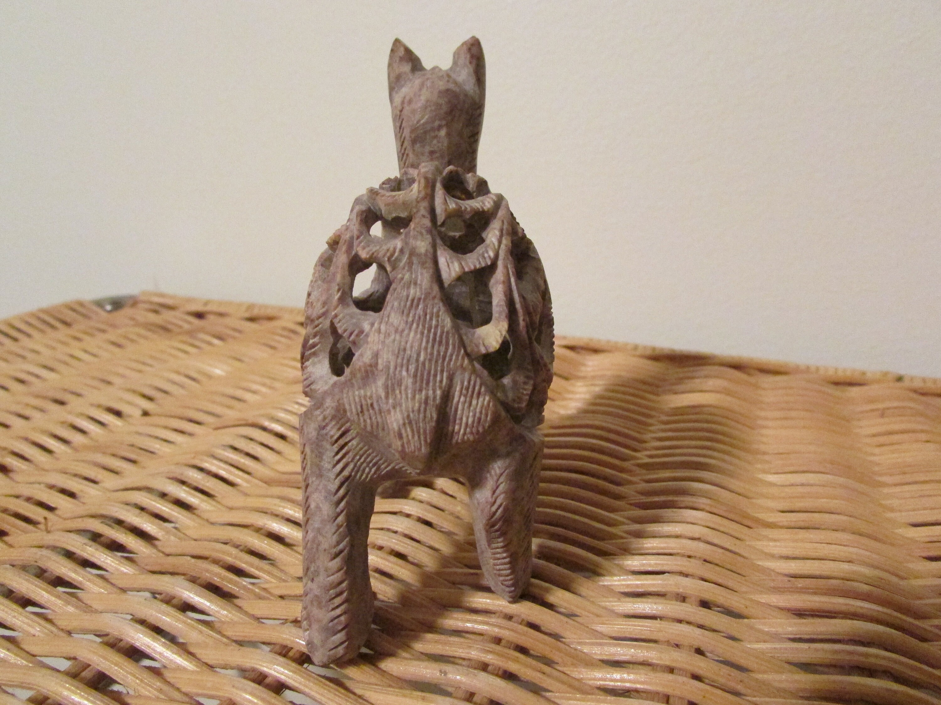 camel idol