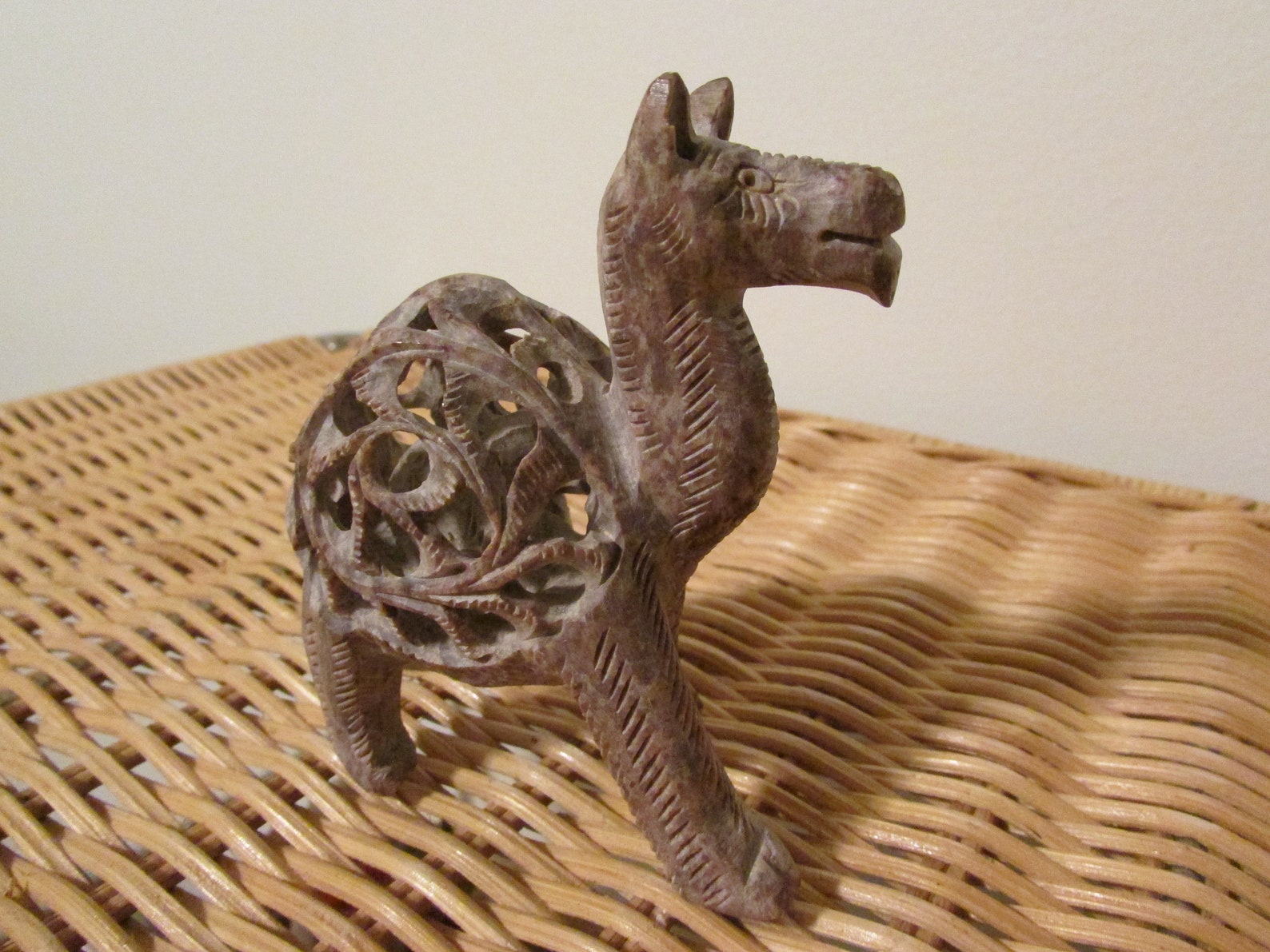 camel idol