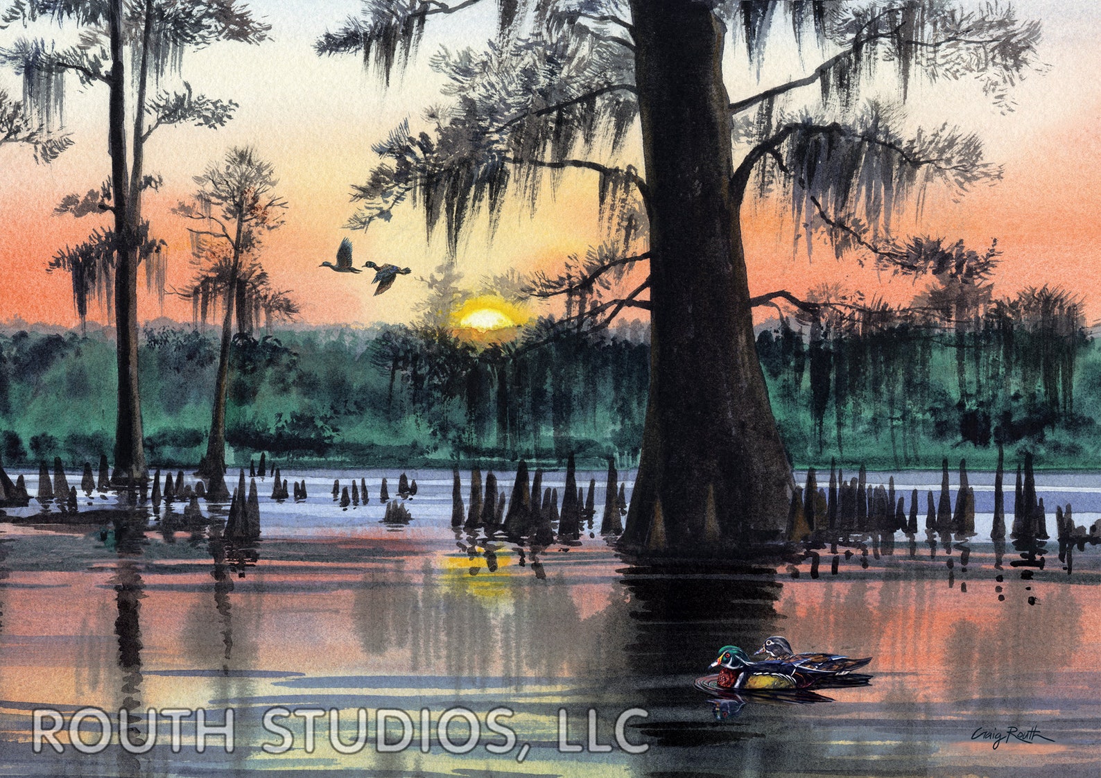 Louisiana Art Print Swamp Scene Sunset Wood Ducks at Cypress - Etsy
