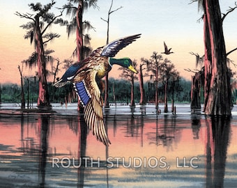 May include: A mallard duck in flight over a swamp with cypress trees. The sky is a soft pink and orange, reflecting in the water. The text "ROUTH STUDIOS, LLC" is at the bottom of the image.