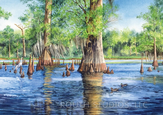 Louisiana Art Print, Swamp Scene, Cypress Flats. Driftwood Frame