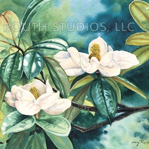 White Magnolia art print