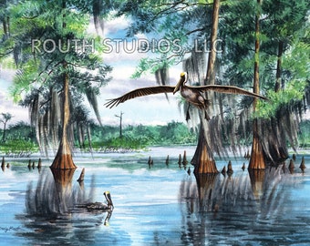 May include: A watercolor painting of two brown pelicans in a swampy lake setting. One pelican is flying over the water, while the other is swimming. The lake is surrounded by cypress trees with Spanish moss hanging from their branches. The painting is signed "Craig Routh" in the bottom left corner.