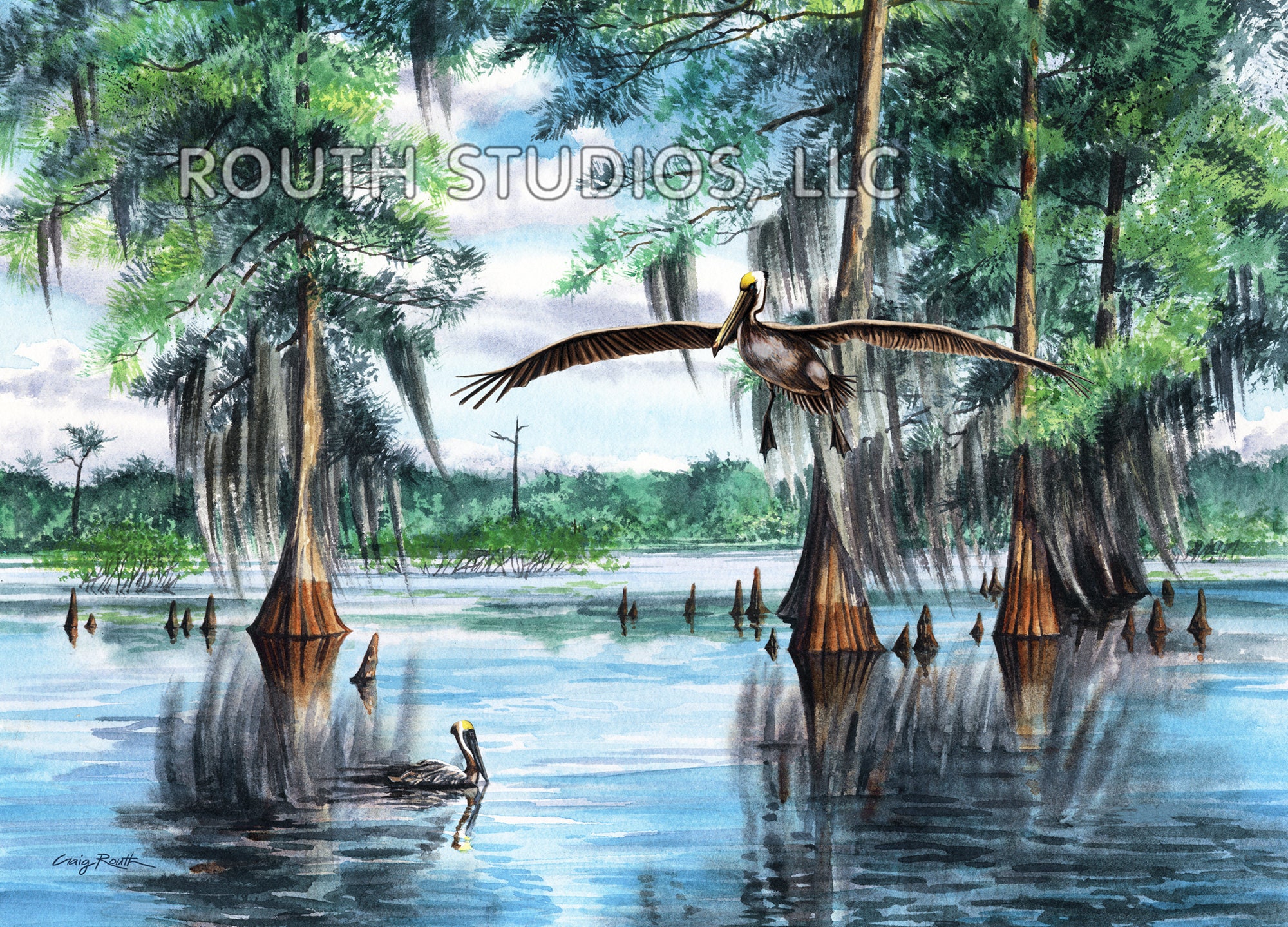 Louisiana Art Print, Swamp Scene, Brown Pelicans at Cypress Flats. Cypress  Wood Frame Available. 
