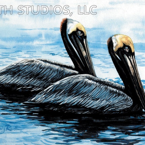 Louisiana Art Print, Brown Pelicans