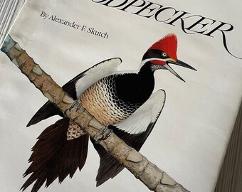 Life of the Woodpecker . Vintage Book by Alexander Skutch . Paintings by Dana Gardner . 1985 . Bird / Nature Book . First Edition