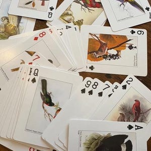 Birds of the World Playing Card Deck . Standard Deck of Cards . Platnik Playing Cards/2007 . Complete Deck of Playing Cards