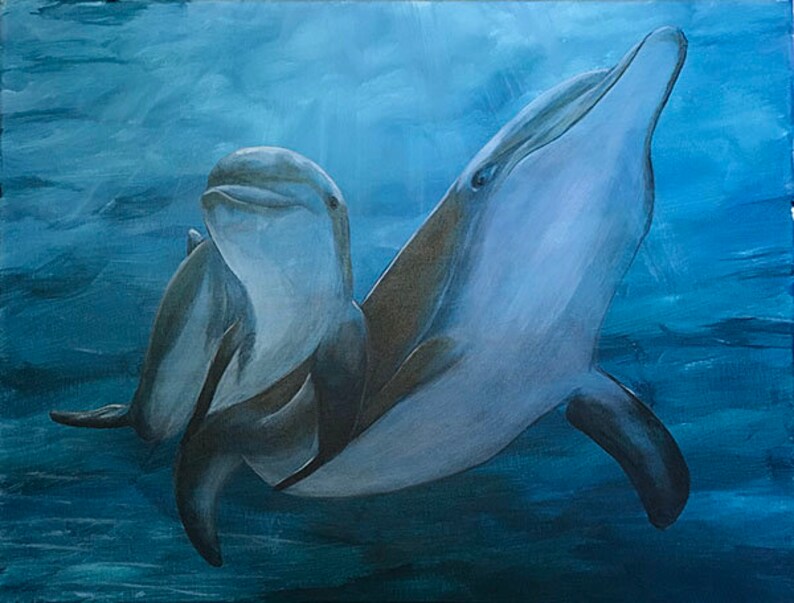 script rencontre dolphin