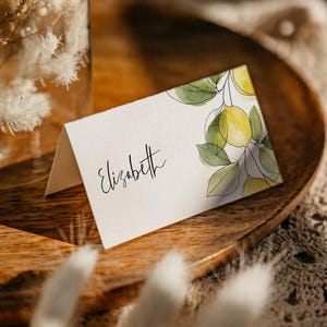 Lemon Place Cards, Table Name Cards Editable Template, Citrus Bridal Shower - Limetta