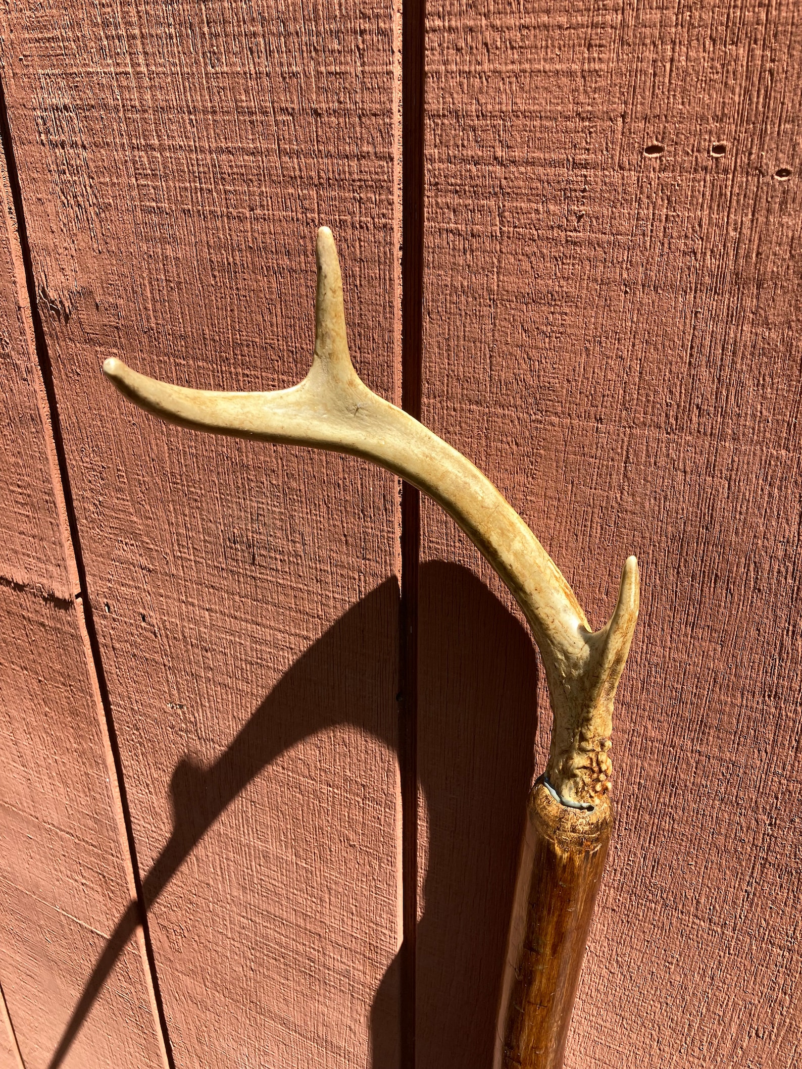 Handmade Wooden Cane With natural Deer Antler Handle Etsy