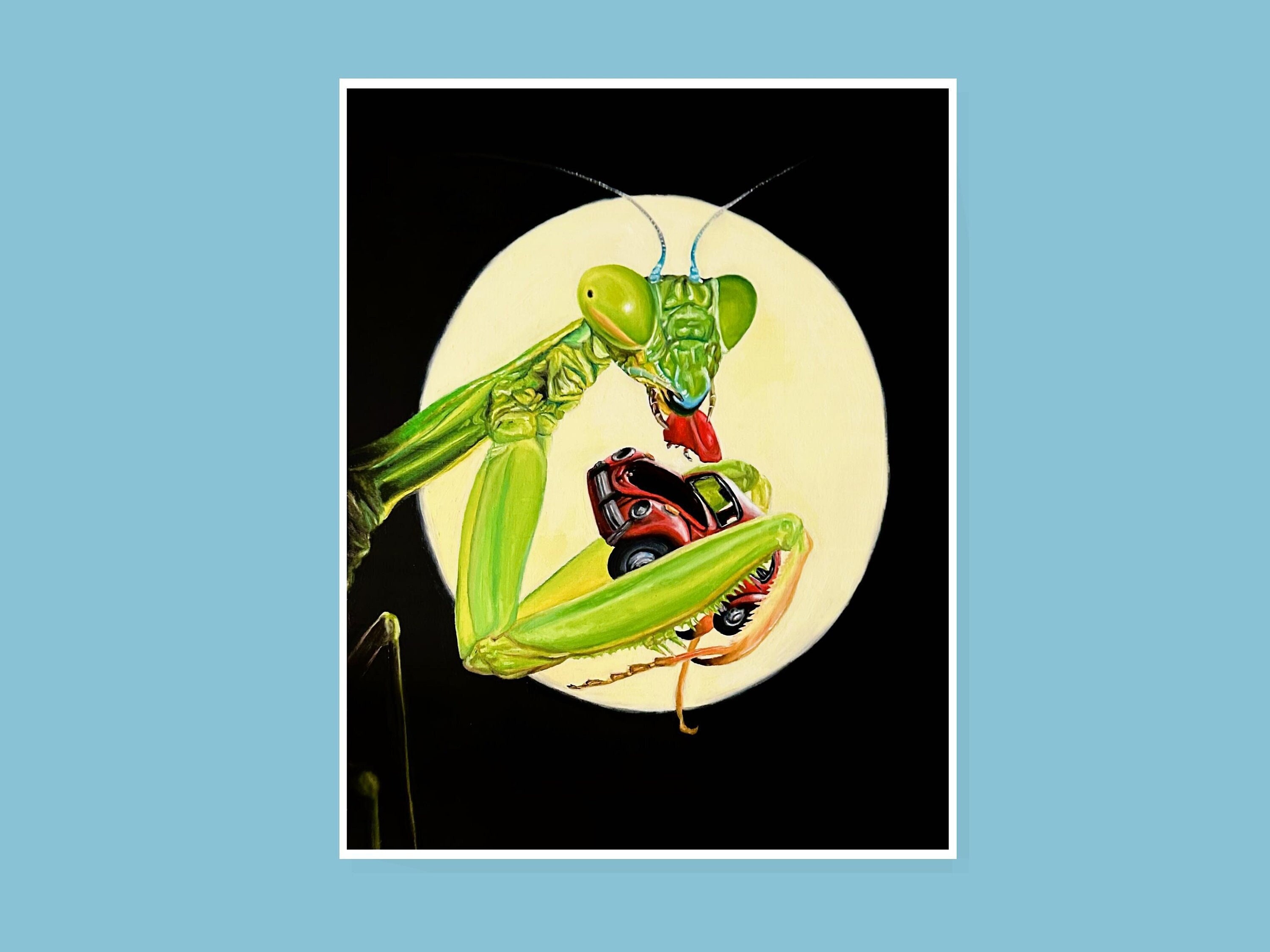 美品 希少】AVISO アビソ PRAYING MANTIS 5'6 TINTaviso gold】PRAYING