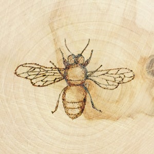 May include: A detailed wood-burned image of a bee on a light-colored wooden surface. The bee is depicted with intricate details, including its wings, body segments, and antennae. The wood grain pattern provides a natural backdrop.