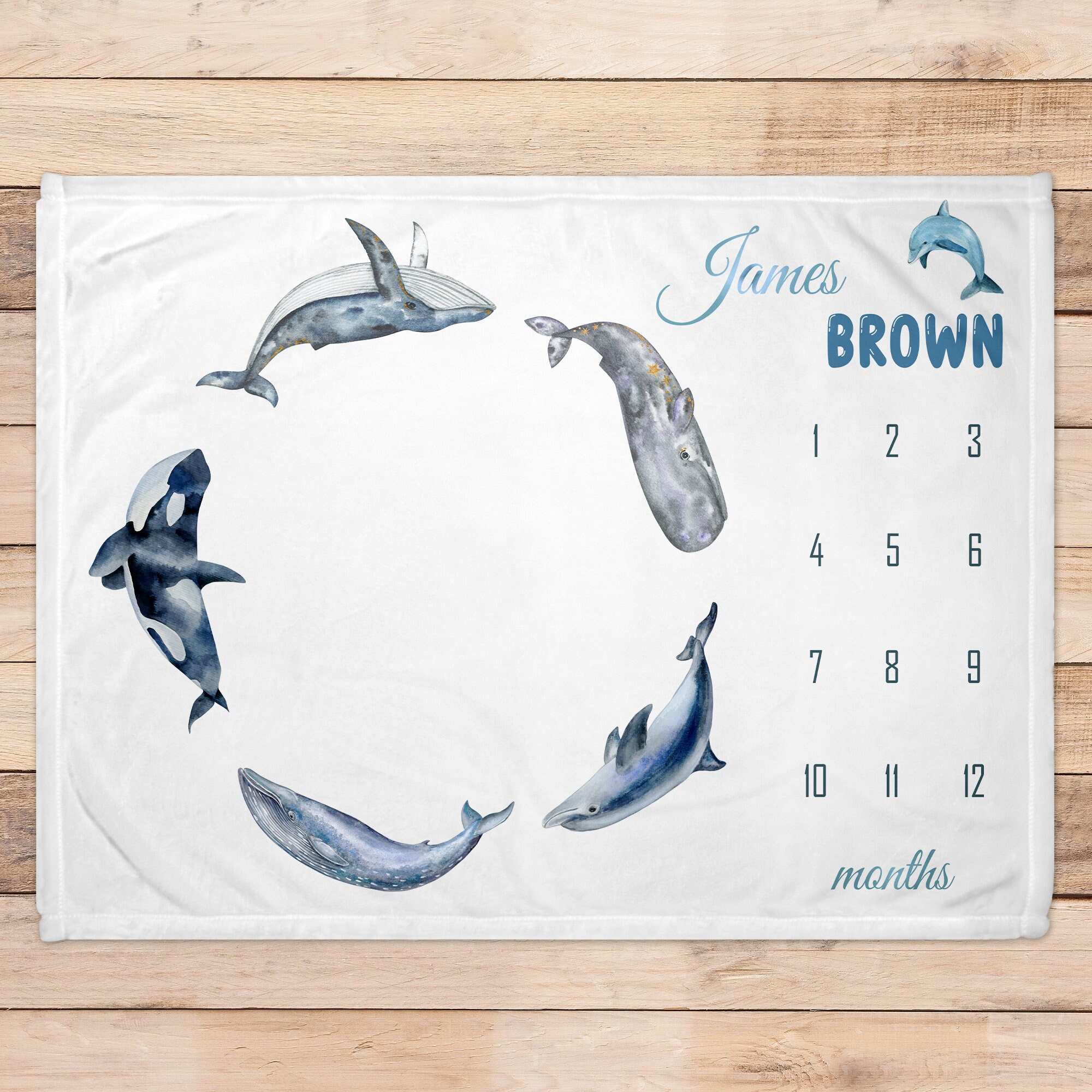 Dolphin mink blanket sale