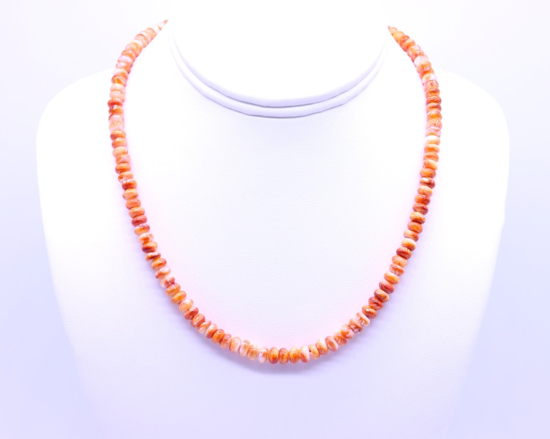 Spiney Rope Orange Spiny Oyster Pueblo Navajo Southwestern Native American Modern ...