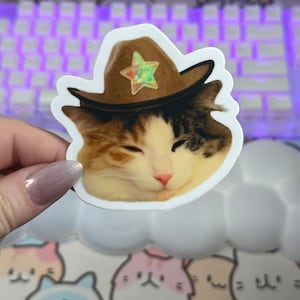 Cowgirl Calico Cat Sticker, Cute Cowboy Cat Stickers, Western Cats, Laptop Stickers, Water Bottle Stickers, Kindle Stickers, Cat Stickers