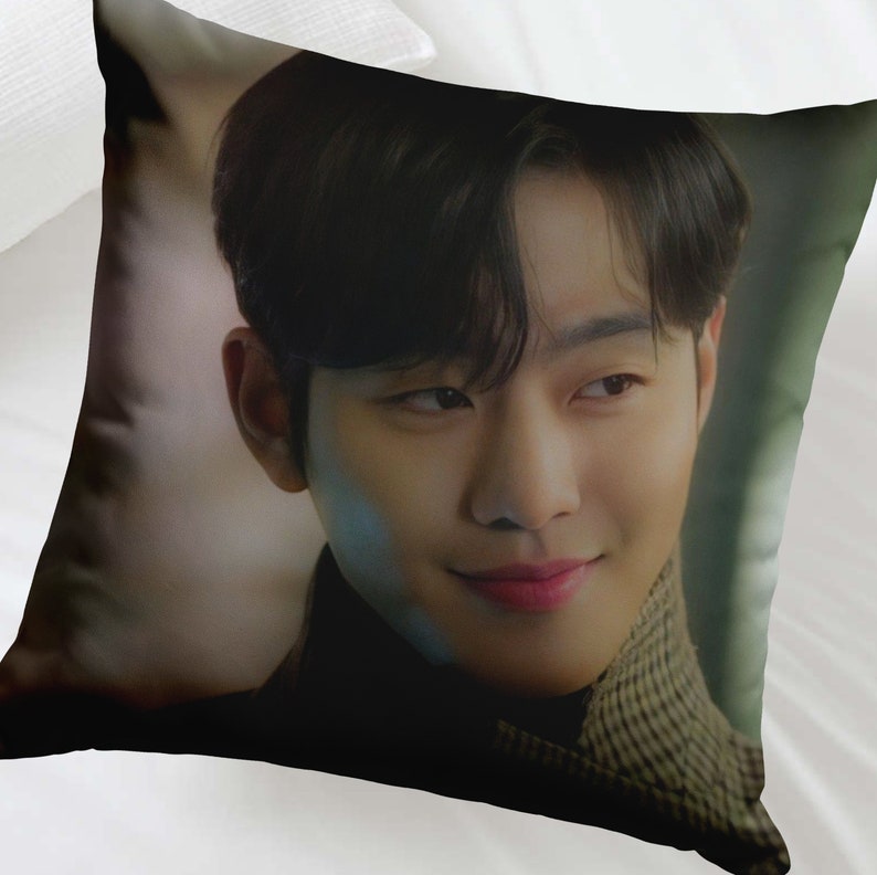 Ahn Hyo-seop Pillow Kang Tae-mu Cushion Business Proposal - Etsy