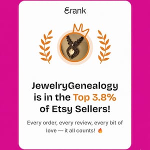 Puede incluir: Un gr&aacute;fico rectangular blanco con borde rosa que presenta el texto Erank en la parte superior, un icono circular con un collar oscuro y el texto JewelryGenealogy is in the Top 3.8% of Etsy Sellers! Every order, every review, every bit of love &mdash; it all counts!