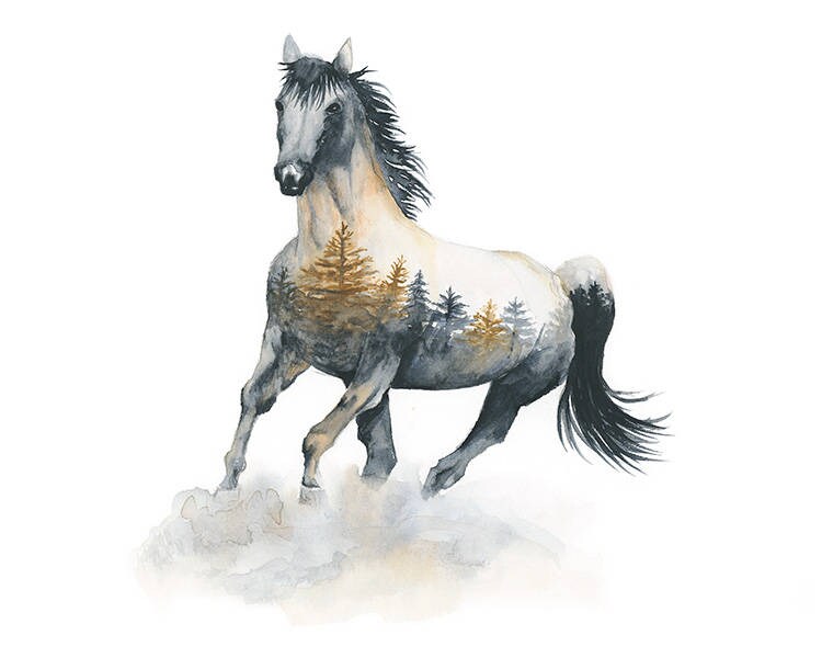 Wild At Heart Horse Silhouette Print And Mount Acrylic Print | Etsy