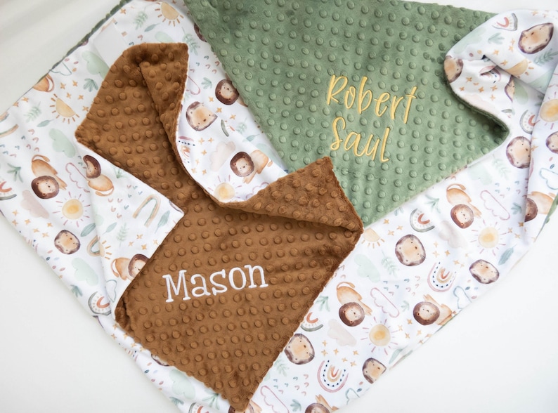Little Lion Personalized Baby Blanket, Minky Baby Blanket, Baby Blanket with Name, Monogram Baby Blanket, Newborn Gift, Rainbow Baby Gift image 4