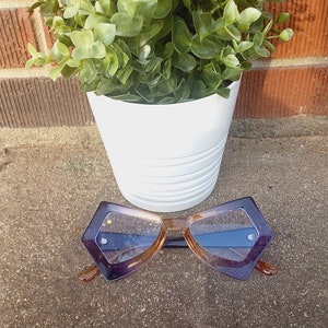 Puede incluir: Un par de gafas de sol geométricas de color morado y marrón con una planta en maceta blanca en el fondo.