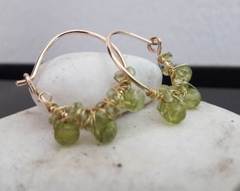 Goldfilled earrings with peridot no. 37