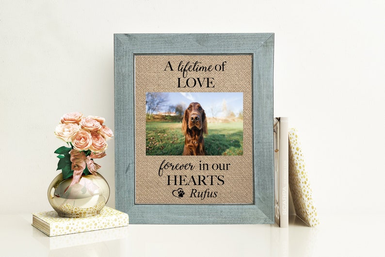 May include: A framed photo memorial with a burlap background. The photo shows a brown dog in a field. The text reads "A lifetime of LOVE forever in our HEARTS Rufus".