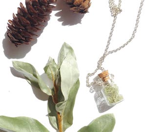 Wire Wrapped Real Lichen Necklace With Silver Chain, Botanical Gift, Plant Jar, Real Nature Jewelry, Mini Terrarium, Delicate