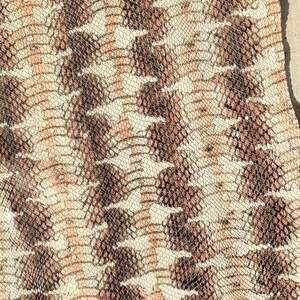 Genuine Leather Fabric, Genuine Leather,  Beige, / Brown, Copper Print Snakeskin, Crafting Leather, Real Leather Sheets, Real Leather