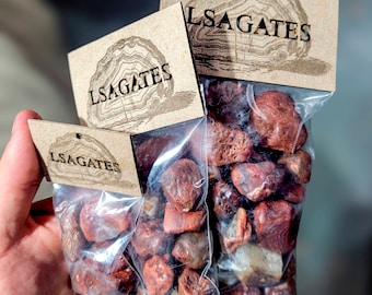 Lake Superior Agate Goodie Bags - Randomly selected LSA's from Minnesota - A+ Grade - Polished & Unpolished Stones!