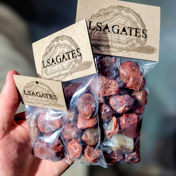 Lake Superior Agate Goodie Bags - Randomly selected LSA's from Minnesota - A+ Grade - Polished & Unpolished Stones!