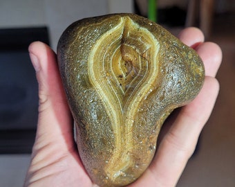 Black Snake River Agates - Extremely Rare - Hard to Find - One of a kind - Fotification Agate Formation