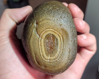 Black Snake River Agates - Extremely Rare - Hard to Find - One of a kind - Fotification Agate Formation