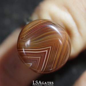 May include: Close-up of a round, brown agate cabochon with white and red stripes. The cabochon is polished and has a glossy finish.